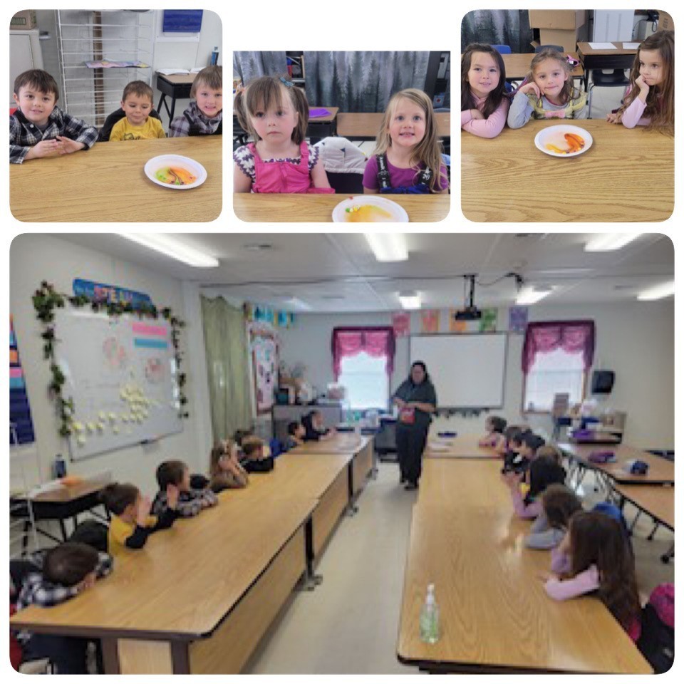 Mrs. Pool’s Early Kindergarteners experimenting with Skittles and Science in Steam with Ms. Rose. 