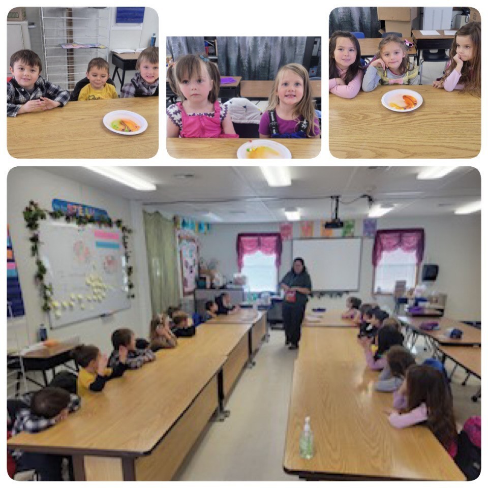 Mrs. Pool’s Early Kindergarteners experimenting with Skittles and Science in Steam with Ms. Rose.