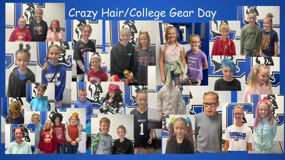 Crazy Hair/College Gear Day